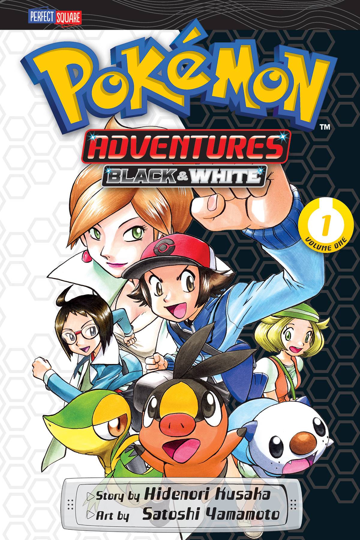 Pokemon Adventures Black and White GN Vol 1