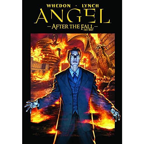 Angel After the Fall Vol. 2 First Night TP
